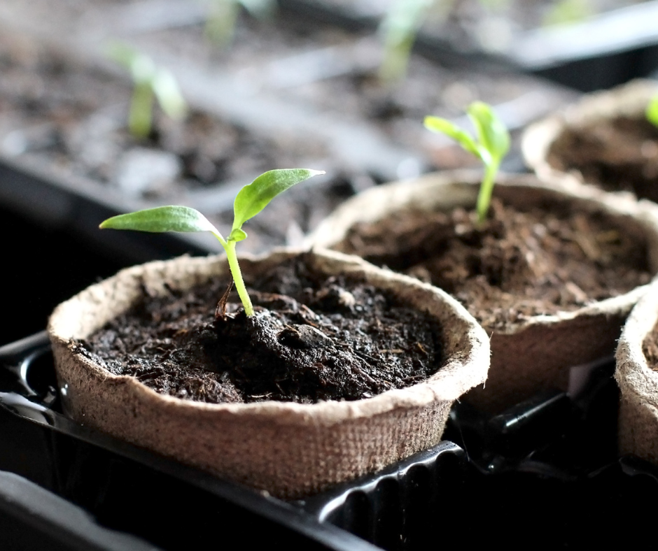 Spring gardening tips for planting a garden - Tru Blue Boutqiue Blog